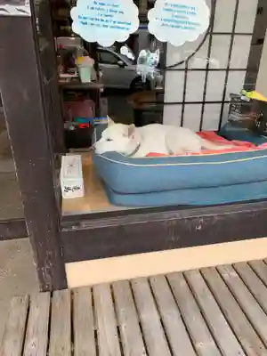 青蓮院門跡(京都府)