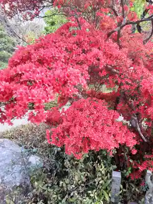 慈恩寺(岩手県)