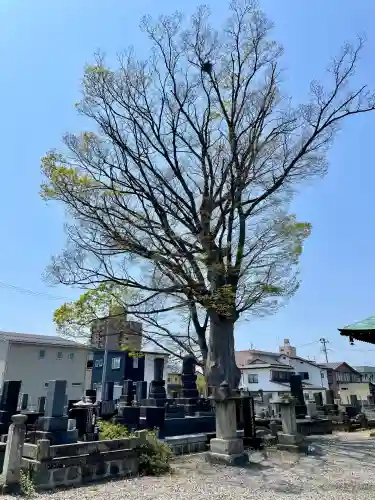 久福寺(福島県)