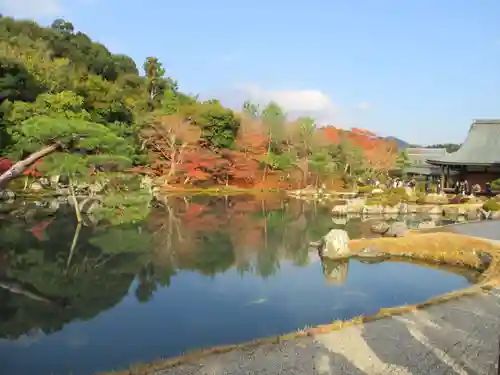 天龍寺の庭園