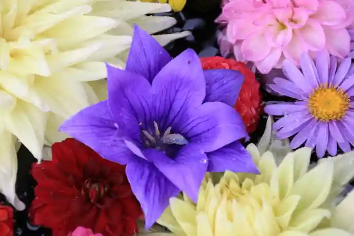 大鏑神社の手水舎