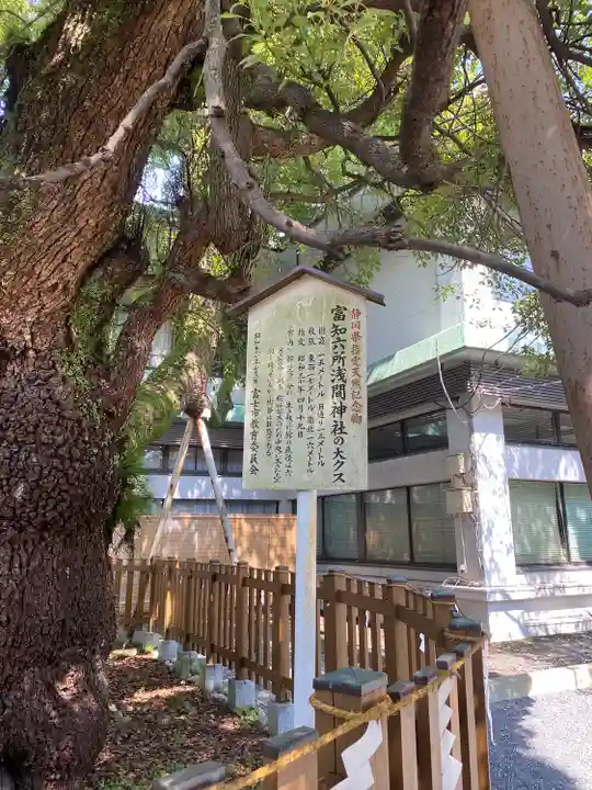 富知六所浅間神社の自然