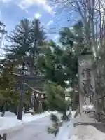 信濃神社の鳥居