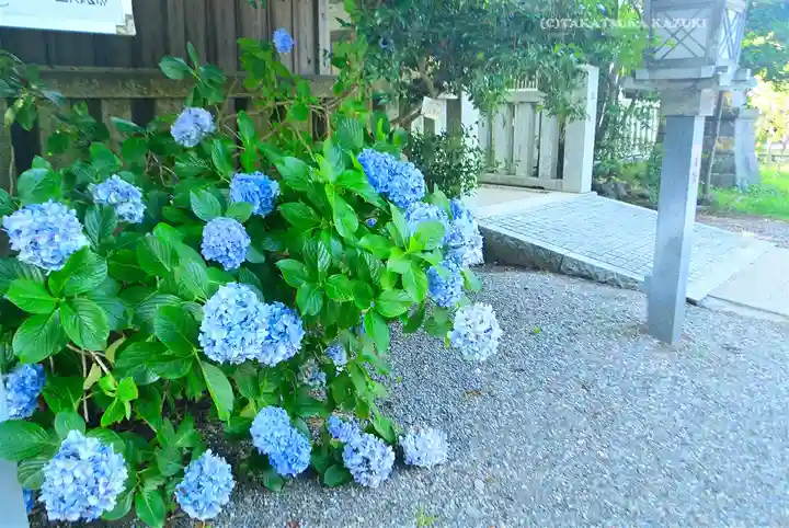 大洗磯前神社(茨城県)