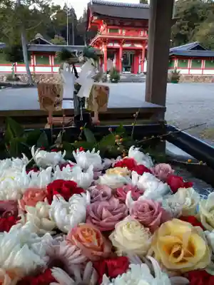 大鳥神社の手水舎
