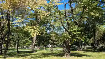 芽室神社の自然