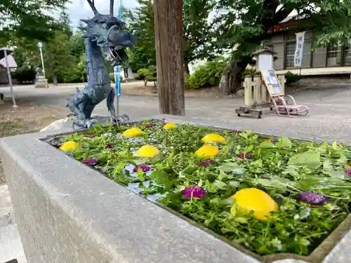 鹿追神社の手水舎