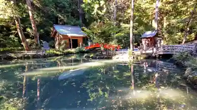 小國神社の庭園