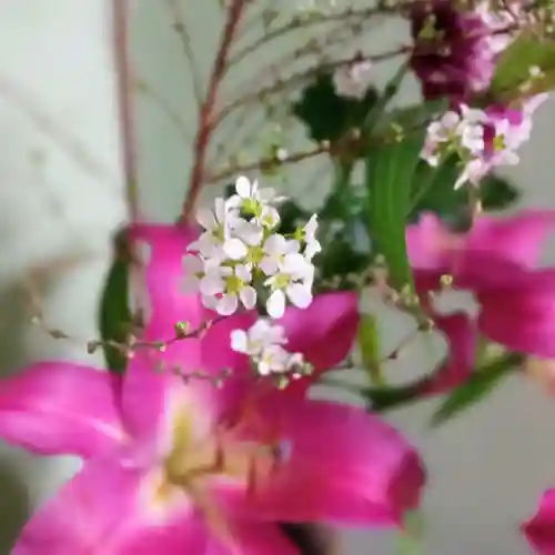 阿邪訶根神社(福島県)