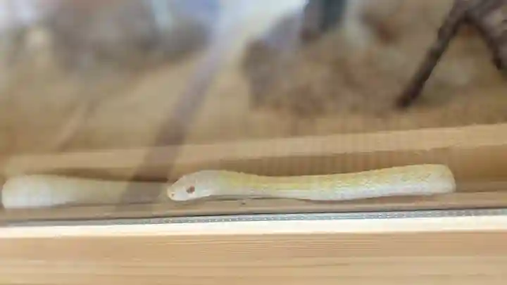 感神院木山寺(岡山県)