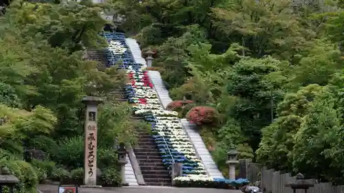 三室戸寺(京都府)
