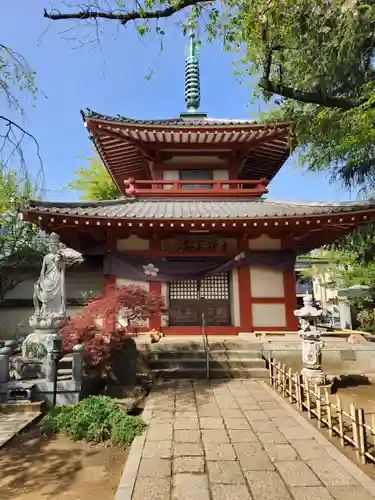 新井薬師（梅照院）(東京都)