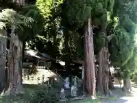 早楢神社の自然
