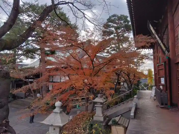 養玉院如来寺(東京都)