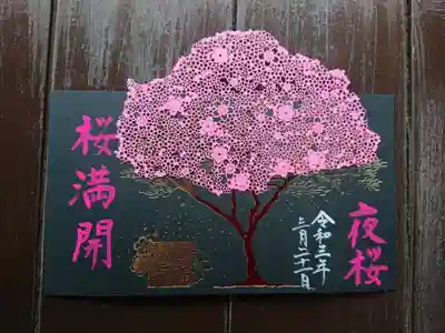 ③夜桜:桜満開