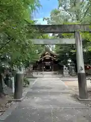 闇之森八幡社(愛知県)