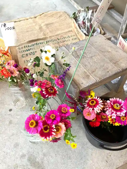 鹿島神社(栃木県)