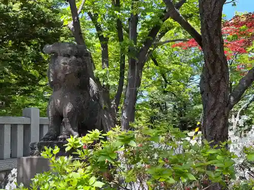 彌彦神社　(伊夜日子神社)の狛犬