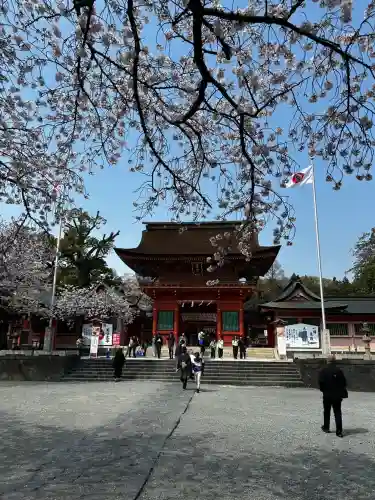 富士山本宮浅間大社の{uncategorized: "未分類", other: "その他", undefined: "問題あり", building: "その他建物", grave: "お墓", sacred_gate: "鳥居", guardian: "狛犬", statue: "像", buddha: "仏像", history: "歴史", nature: "自然", garden: "庭園", animal: "動物", pagoda: "塔", temizu: "手水舎", mountain_gate: "山門・神門", sanctuary: "本殿・本堂", subordinate: "末社・摂社", art: "芸術", scenery: "景色", jizo: "地蔵", ema: "絵馬", goshuin: "御朱印", omikuji: "おみくじ", items: "授与品その他", amulet: "お守り", goshuincho: "御朱印帳", eats: "食事", festival: "お祭り", votive_dance: "神楽", shichigosan: "七五三参", wedding: "結婚式", experience: "体験その他", initially: "初詣", around: "周辺", anti_infection: "感染症対策"}