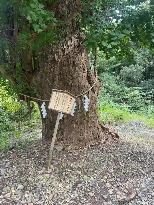 熊野那智神社(宮城県)