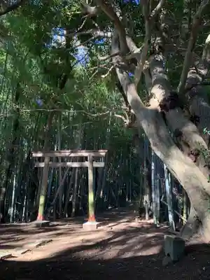 諏訪大神(千葉県)