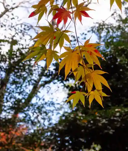 大原野神社(京都府)