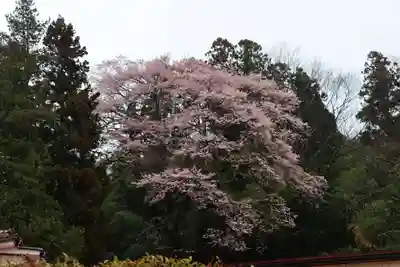 大鏑神社の周辺