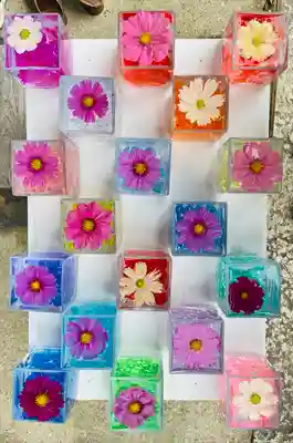 般若寺 ❁﻿コスモス寺❁(奈良県)