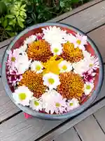 増上寺塔頭 三縁山 宝珠院(東京都)