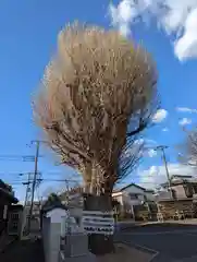 子守神社(千葉県)