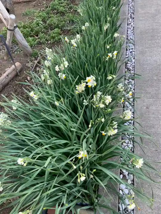 眞芳寺(神奈川県)