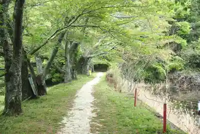 八大龍王弁財天大神(奈良県)