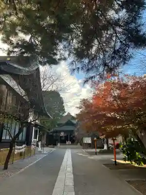 猿田彦神社(東京都)