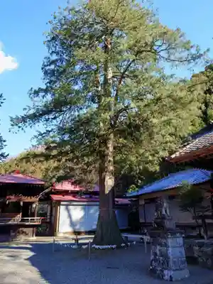 白瀧神社(群馬県)