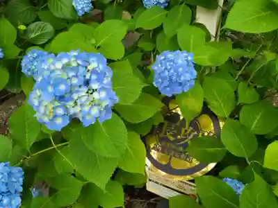 若宮八幡社(愛知県)