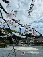 大雄院(茨城県)