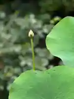 伊勢の国 四天王寺(三重県)