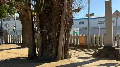 八幡神社(徳島県)
