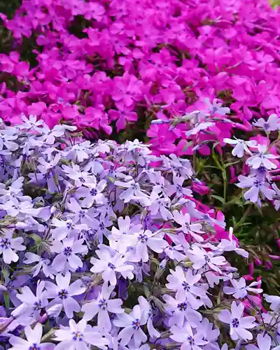 寿量山　速成寺の庭園