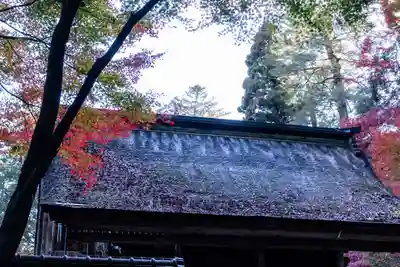 大矢田神社(岐阜県)