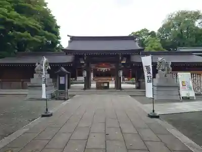 亀ケ池八幡宮(神奈川県)