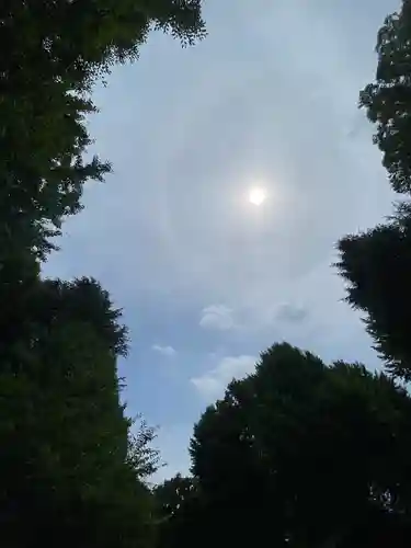 小野神社(東京都)