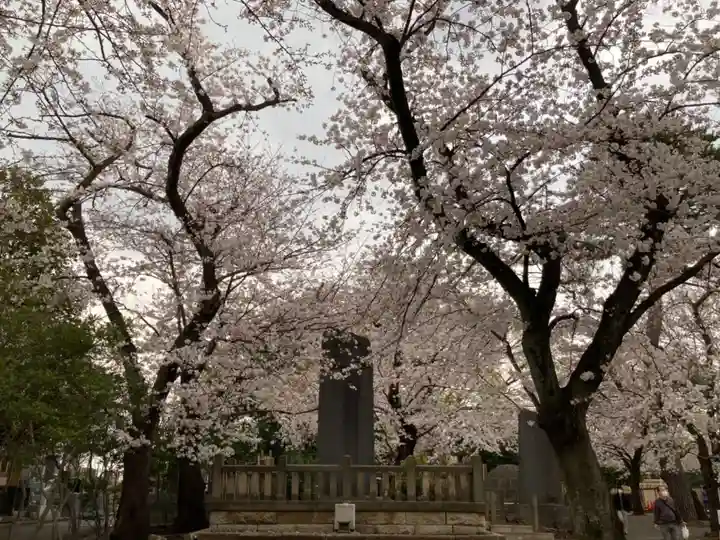 池上本門寺の自然