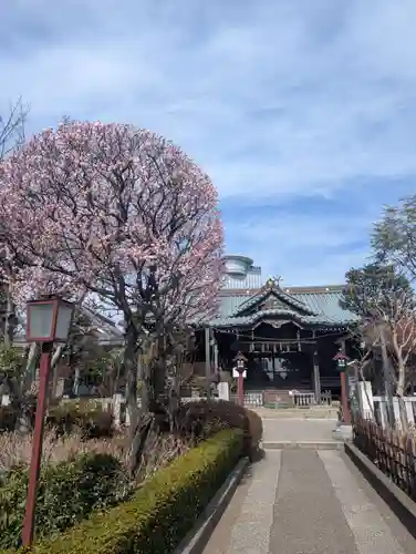白山神社(東京都)