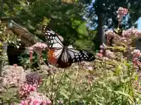 普門寺(切り絵御朱印発祥の寺)(愛知県)