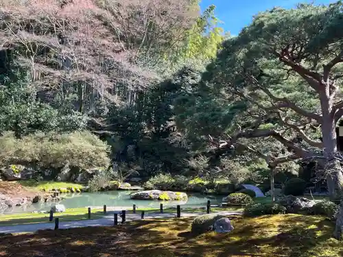 青蓮院門跡(京都府)
