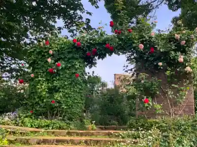 曽我浅間神社(静岡県)