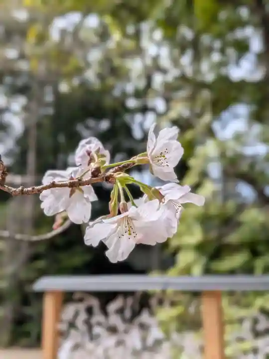 赤坂氷川神社(東京都)