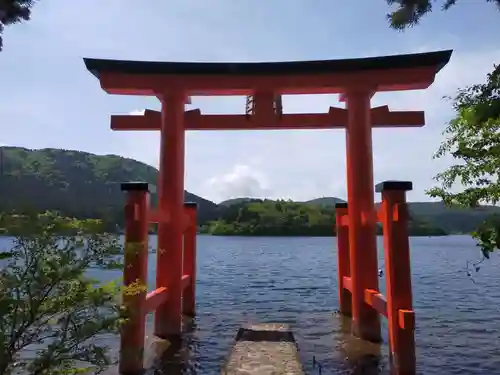 箱根神社の鳥居