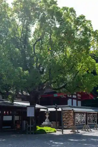 宗像大社(福岡県)